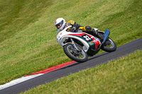 Vintage-motorcycle-club;eventdigitalimages;mallory-park;mallory-park-trackday-photographs;no-limits-trackdays;peter-wileman-photography;trackday-digital-images;trackday-photos;vmcc-festival-1000-bikes-photographs